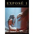 Exposé 1